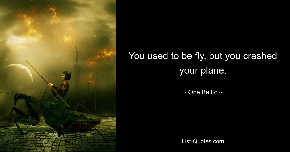 You used to be fly, but you crashed your plane. — © One Be Lo