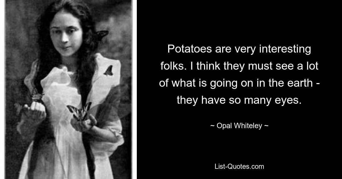 Potatoes are very interesting folks. I think they must see a lot of what is going on in the earth - they have so many eyes. — © Opal Whiteley