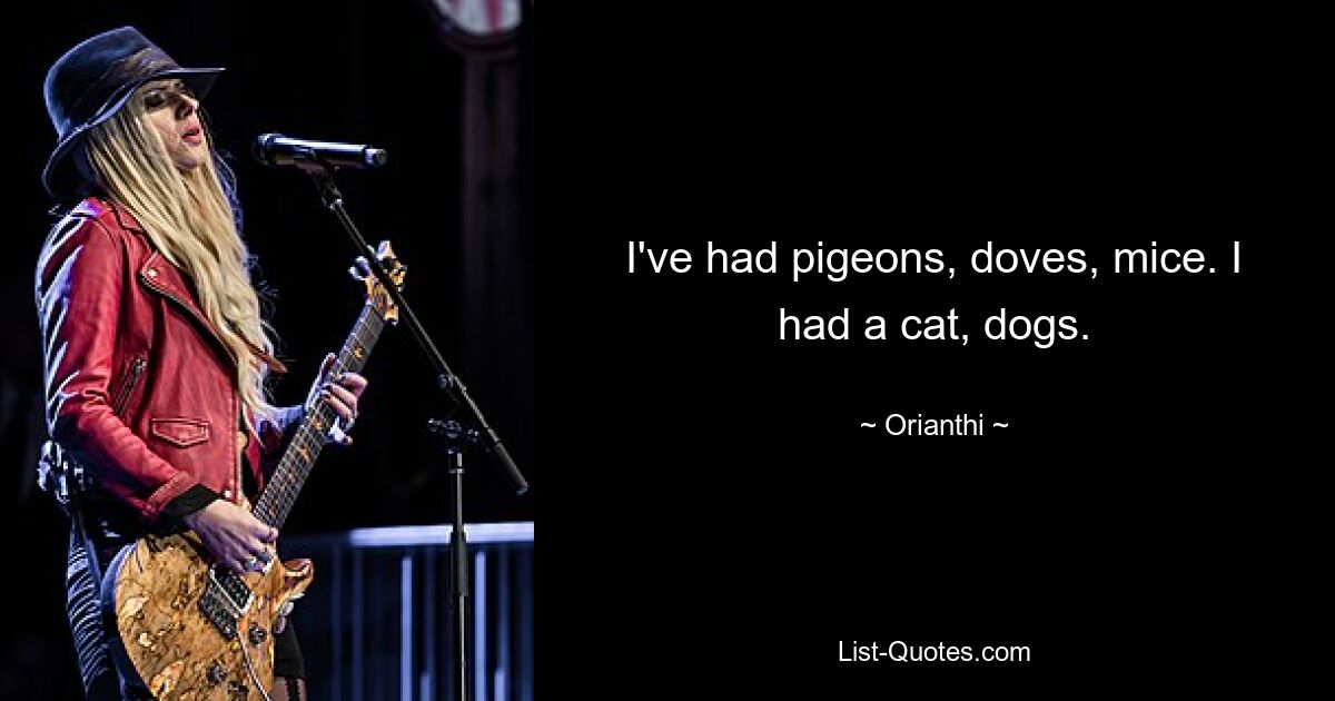 I've had pigeons, doves, mice. I had a cat, dogs. — © Orianthi