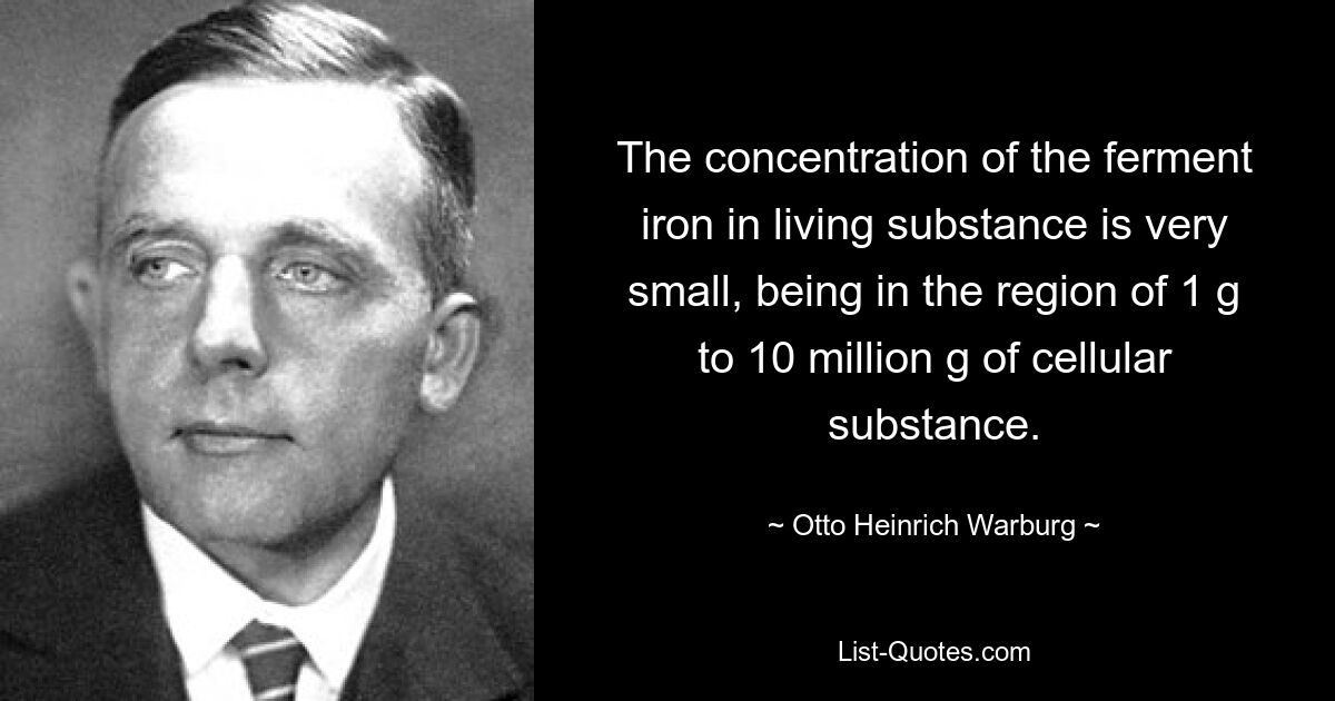 The concentration of the ferment iron in living substance is very small, being in the region of 1 g to 10 million g of cellular substance. — © Otto Heinrich Warburg