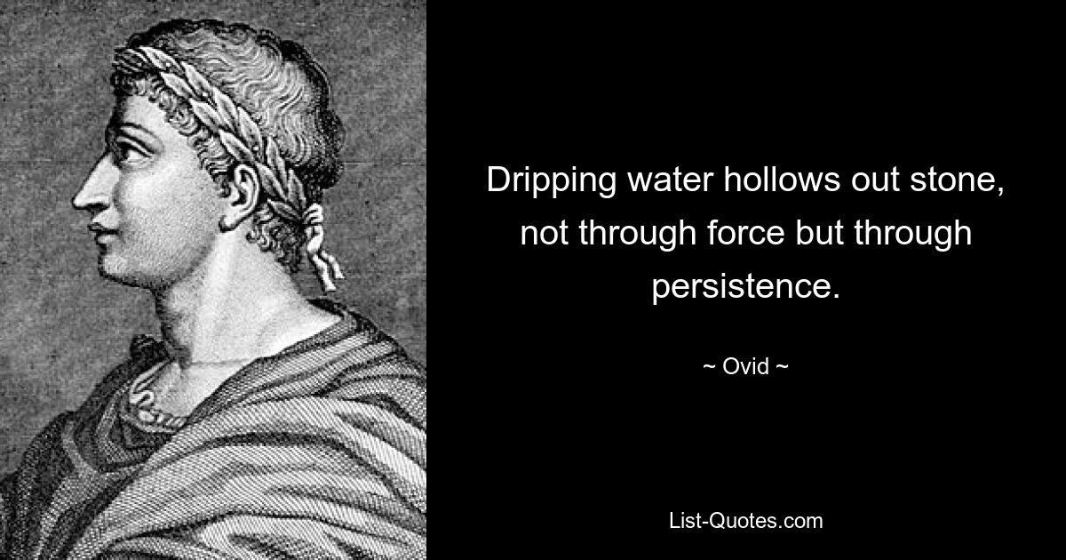 Dripping water hollows out stone, not through force but through persistence. — © Ovid