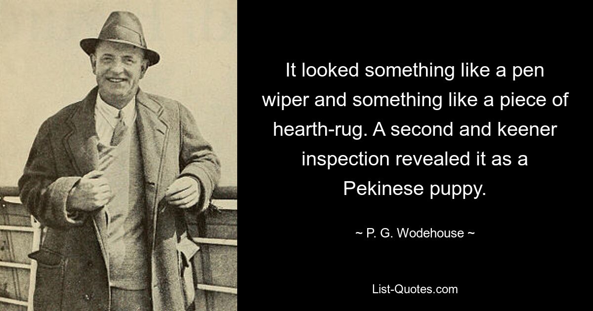 It looked something like a pen wiper and something like a piece of hearth-rug. A second and keener inspection revealed it as a Pekinese puppy. — © P. G. Wodehouse