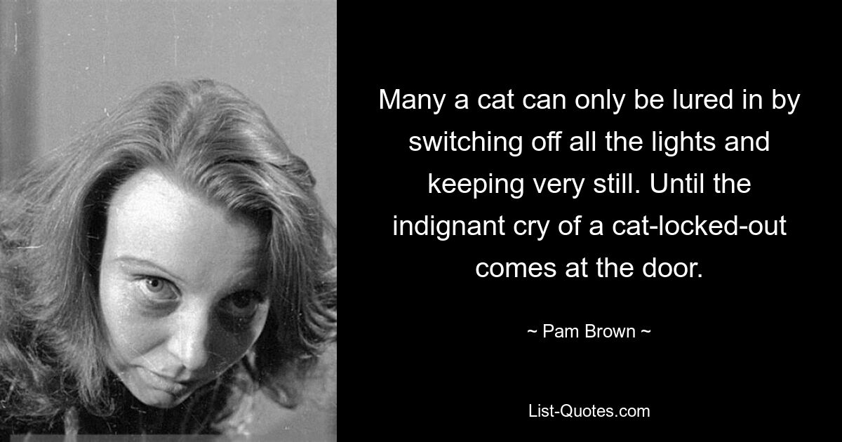 Many a cat can only be lured in by switching off all the lights and keeping very still. Until the indignant cry of a cat-locked-out comes at the door. — © Pam Brown