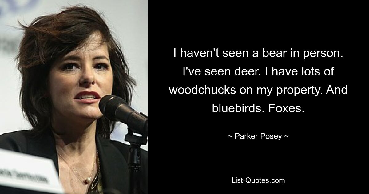 I haven't seen a bear in person. I've seen deer. I have lots of woodchucks on my property. And bluebirds. Foxes. — © Parker Posey