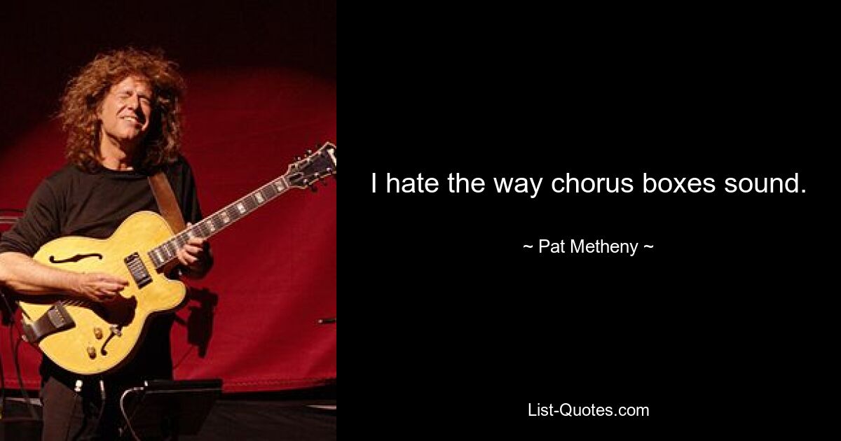 I hate the way chorus boxes sound. — © Pat Metheny