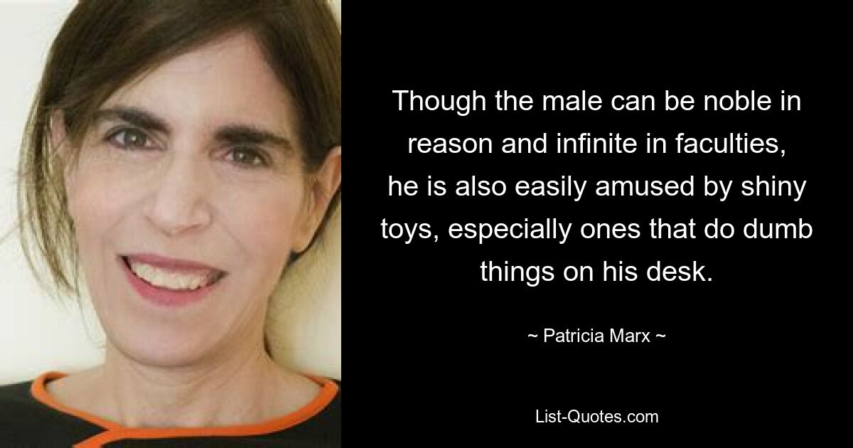 Though the male can be noble in reason and infinite in faculties, he is also easily amused by shiny toys, especially ones that do dumb things on his desk. — © Patricia Marx