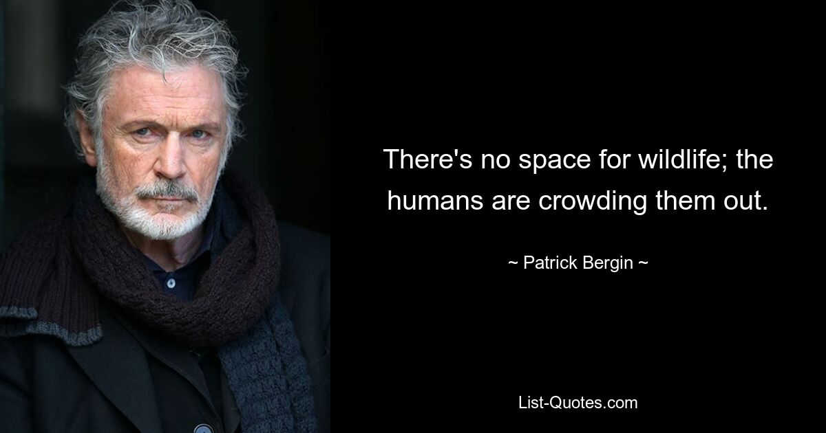 There's no space for wildlife; the humans are crowding them out. — © Patrick Bergin