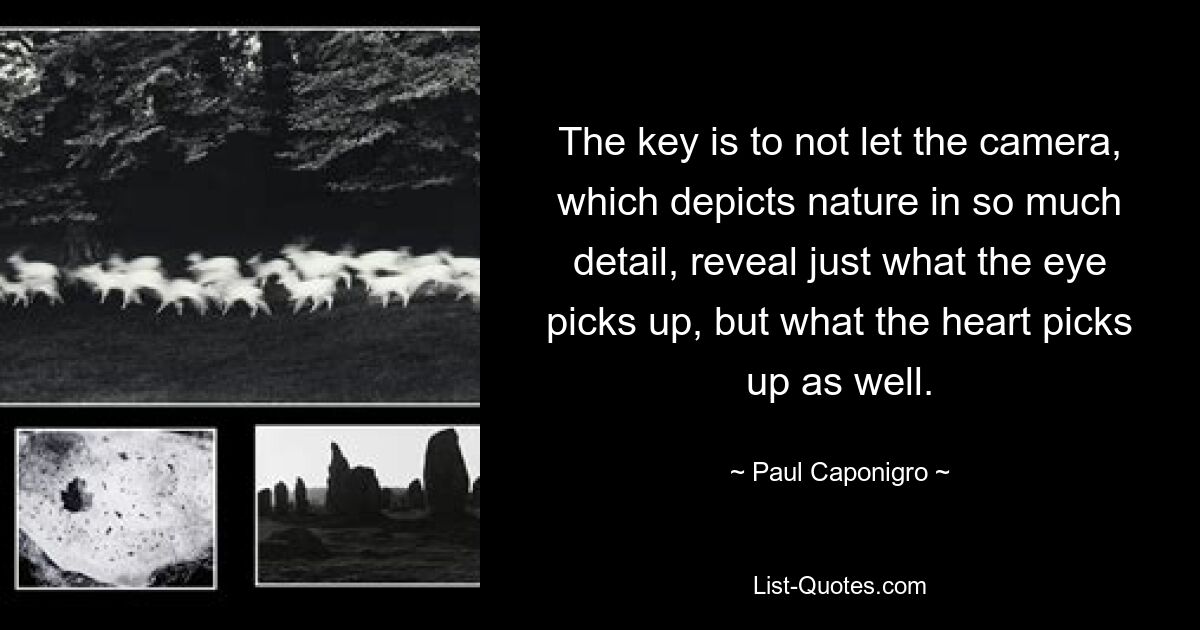 The key is to not let the camera, which depicts nature in so much detail, reveal just what the eye picks up, but what the heart picks up as well. — © Paul Caponigro