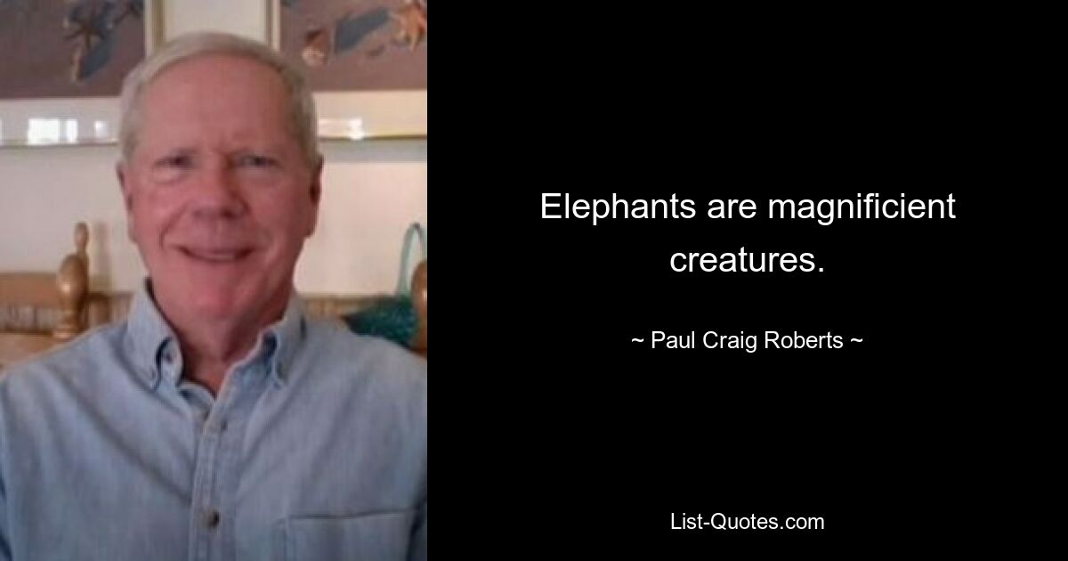 Elephants are magnificient creatures. — © Paul Craig Roberts