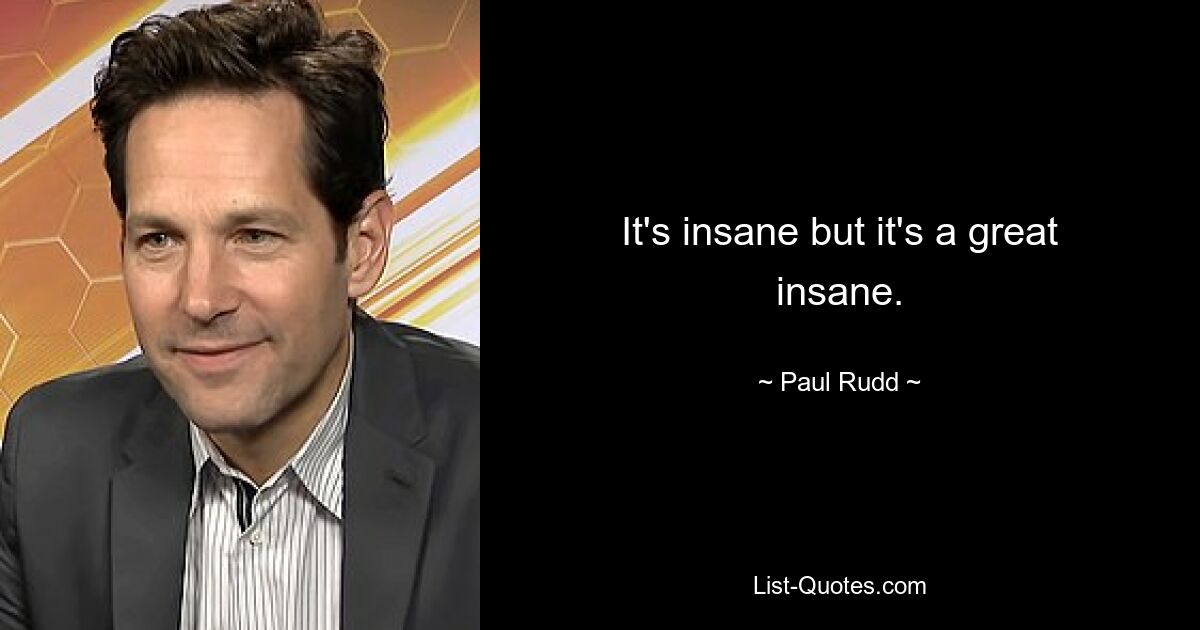 It's insane but it's a great insane. — © Paul Rudd