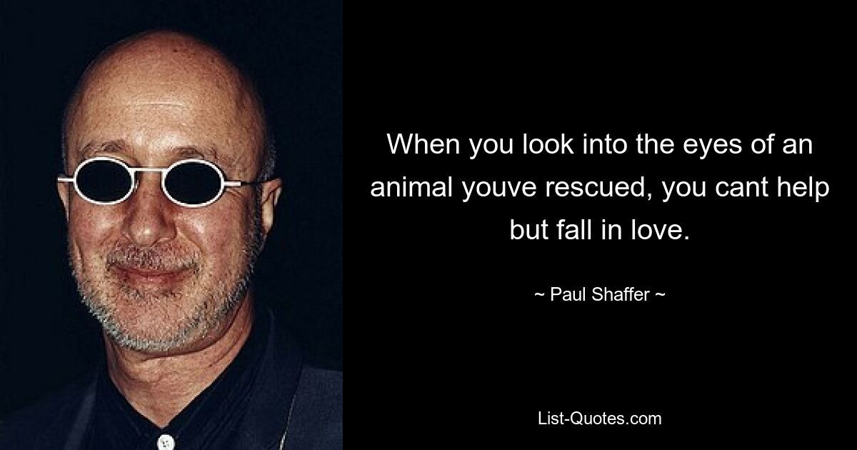 When you look into the eyes of an animal youve rescued, you cant help but fall in love. — © Paul Shaffer