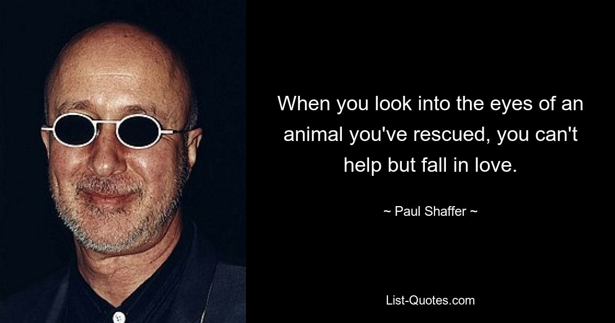 When you look into the eyes of an animal you've rescued, you can't help but fall in love. — © Paul Shaffer