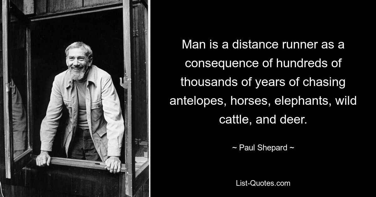 Man is a distance runner as a consequence of hundreds of thousands of years of chasing antelopes, horses, elephants, wild cattle, and deer. — © Paul Shepard