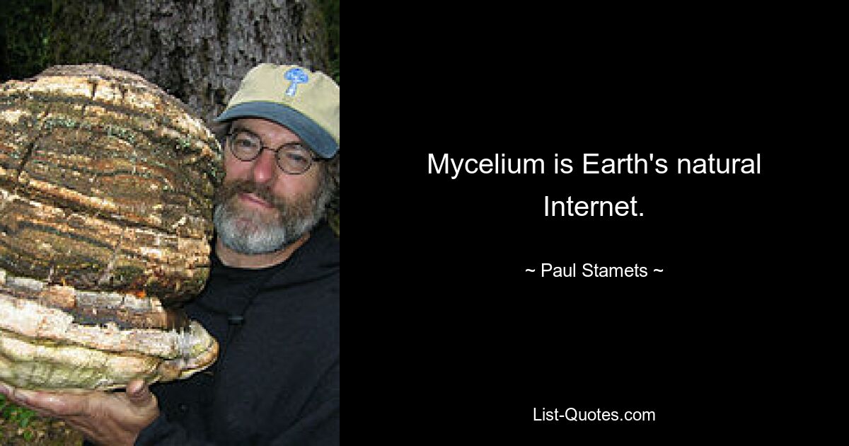 Mycelium is Earth's natural Internet. — © Paul Stamets