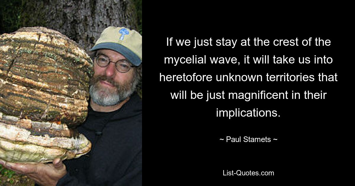 If we just stay at the crest of the mycelial wave, it will take us into heretofore unknown territories that will be just magnificent in their implications. — © Paul Stamets