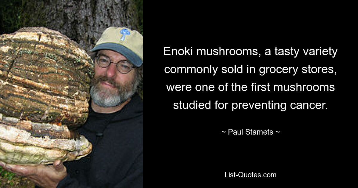 Enoki mushrooms, a tasty variety commonly sold in grocery stores, were one of the first mushrooms studied for preventing cancer. — © Paul Stamets