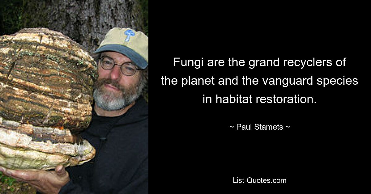 Fungi are the grand recyclers of the planet and the vanguard species in habitat restoration. — © Paul Stamets