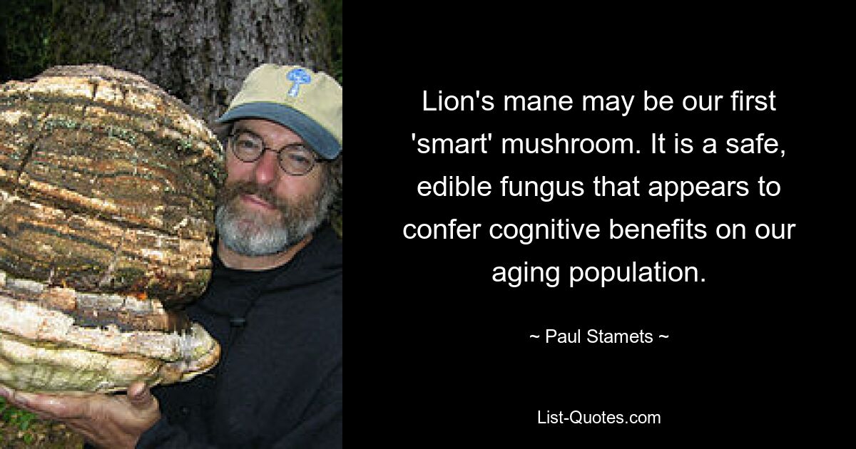 Lion's mane may be our first 'smart' mushroom. It is a safe, edible fungus that appears to confer cognitive benefits on our aging population. — © Paul Stamets