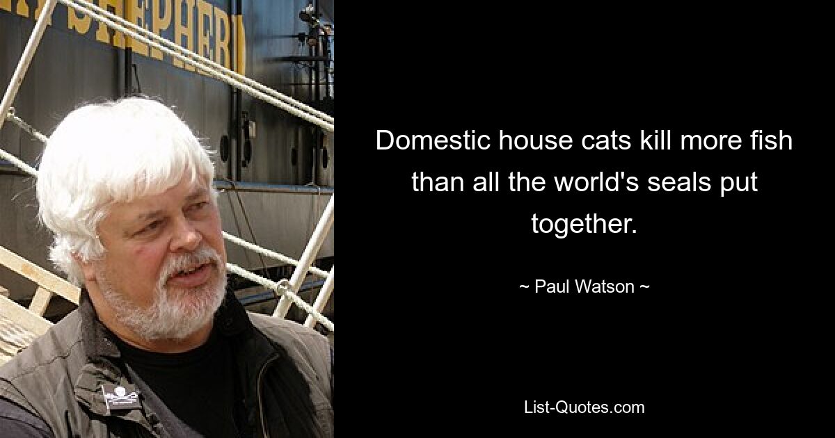 Domestic house cats kill more fish than all the world's seals put together. — © Paul Watson