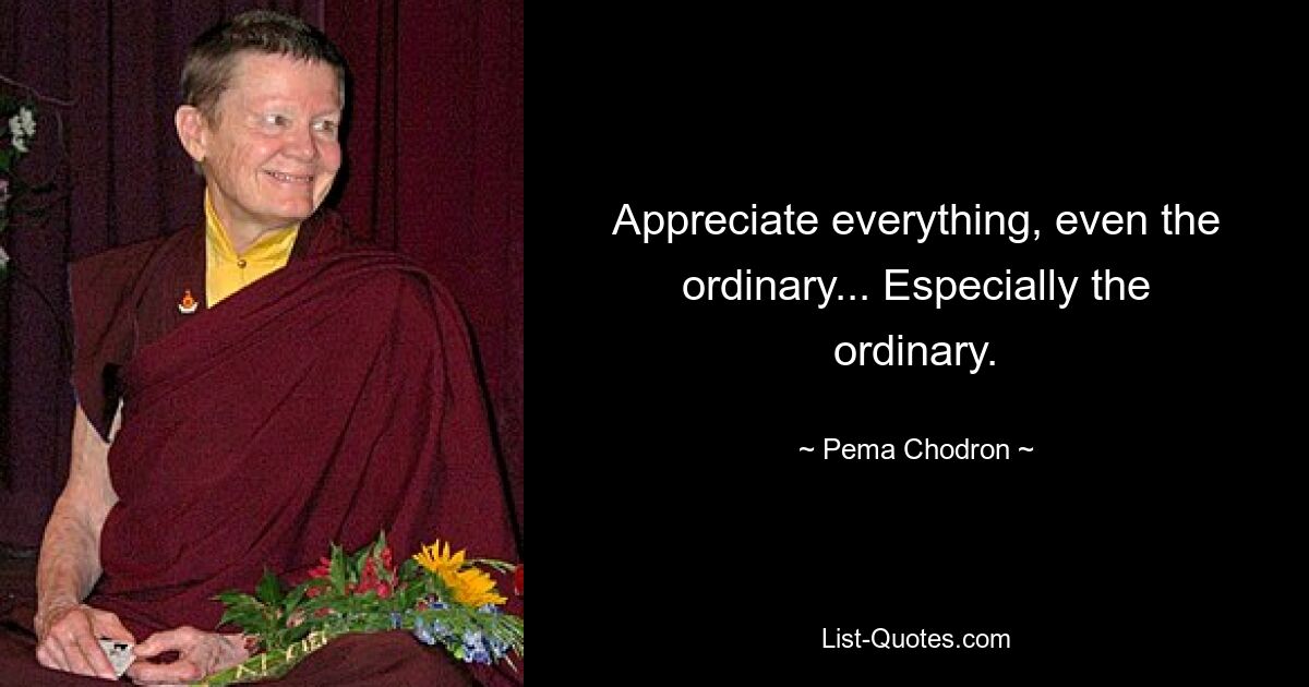 Appreciate everything, even the ordinary... Especially the ordinary. — © Pema Chodron