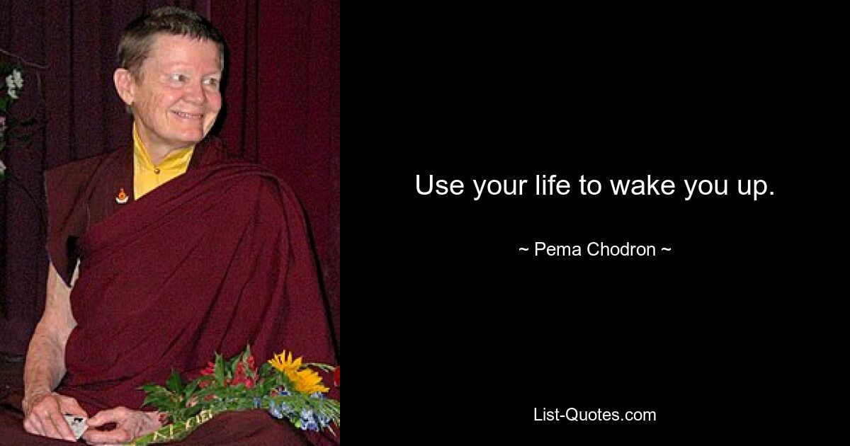 Use your life to wake you up. — © Pema Chodron