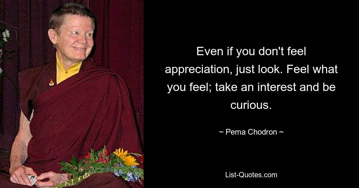 Even if you don't feel appreciation, just look. Feel what you feel; take an interest and be curious. — © Pema Chodron