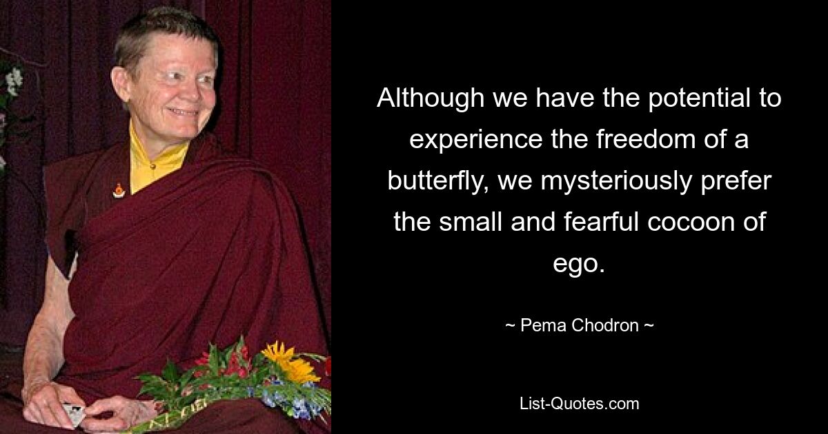 Although we have the potential to experience the freedom of a butterfly, we mysteriously prefer the small and fearful cocoon of ego. — © Pema Chodron