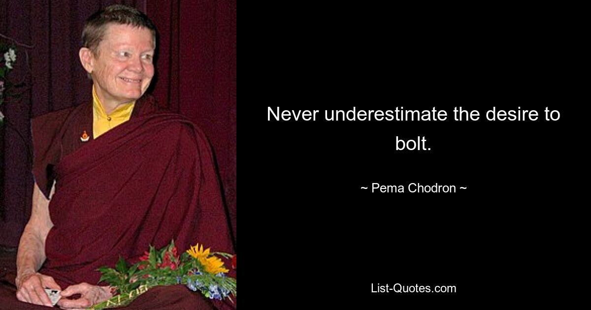 Never underestimate the desire to bolt. — © Pema Chodron