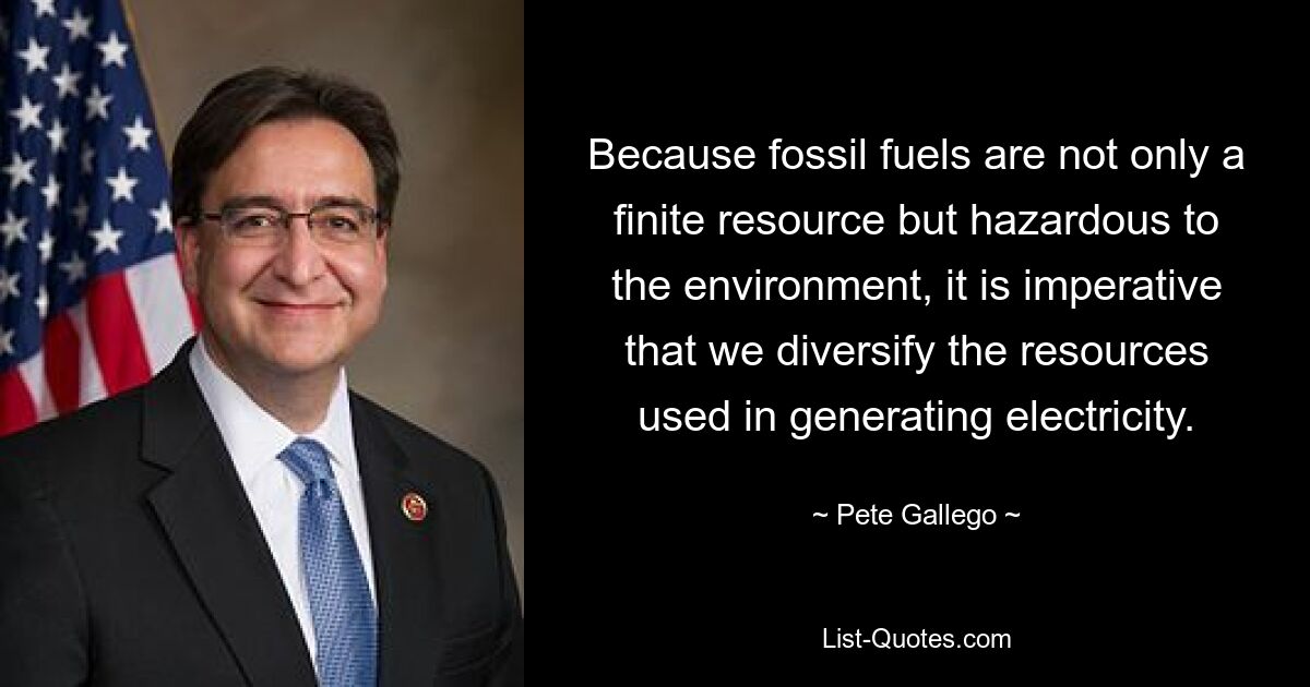 Because fossil fuels are not only a finite resource but hazardous to the environment, it is imperative that we diversify the resources used in generating electricity. — © Pete Gallego