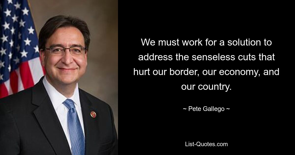 We must work for a solution to address the senseless cuts that hurt our border, our economy, and our country. — © Pete Gallego