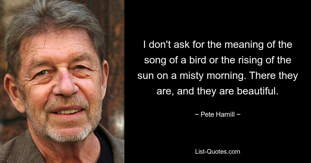 I don't ask for the meaning of the song of a bird or the rising of the sun on a misty morning. There they are, and they are beautiful. — © Pete Hamill