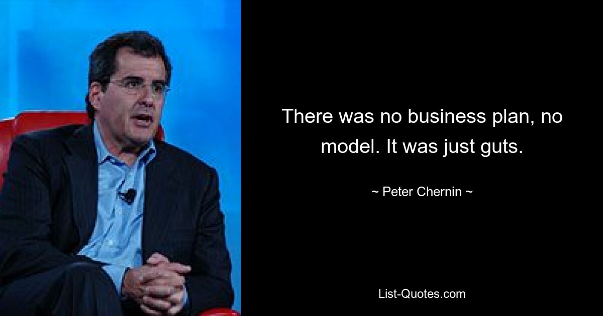 There was no business plan, no model. It was just guts. — © Peter Chernin