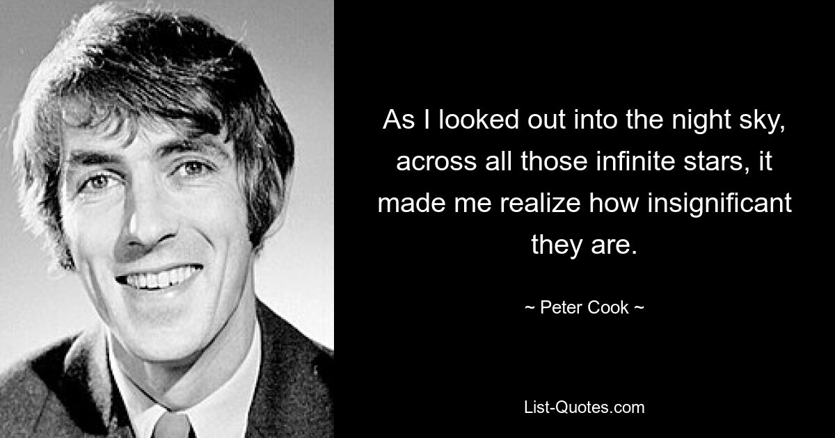 As I looked out into the night sky, across all those infinite stars, it made me realize how insignificant they are. — © Peter Cook