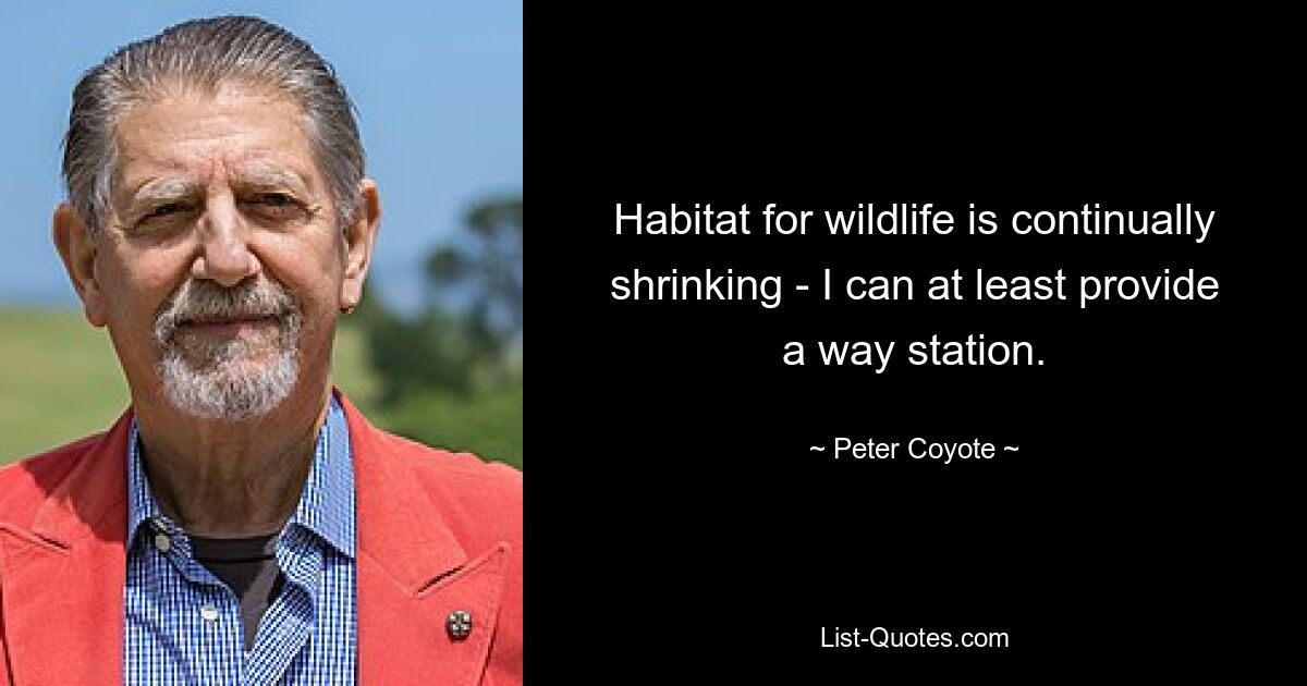 Habitat for wildlife is continually shrinking - I can at least provide a way station. — © Peter Coyote