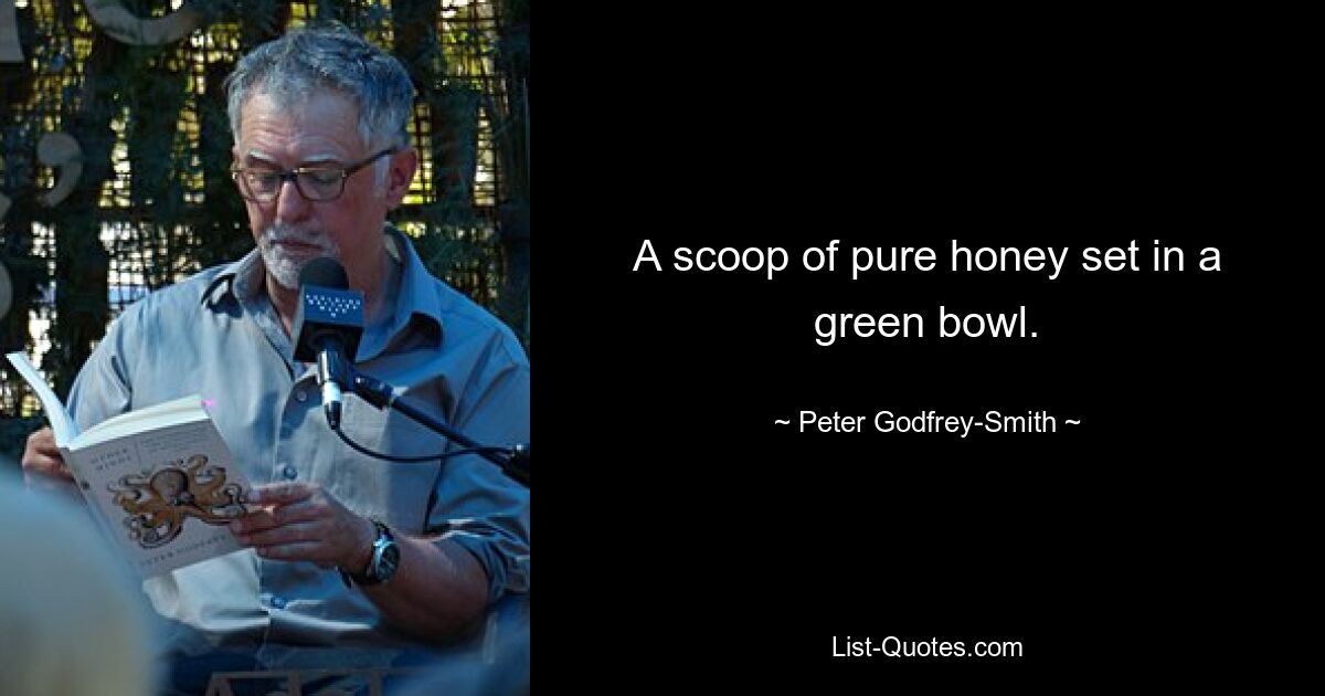 A scoop of pure honey set in a green bowl. — © Peter Godfrey-Smith