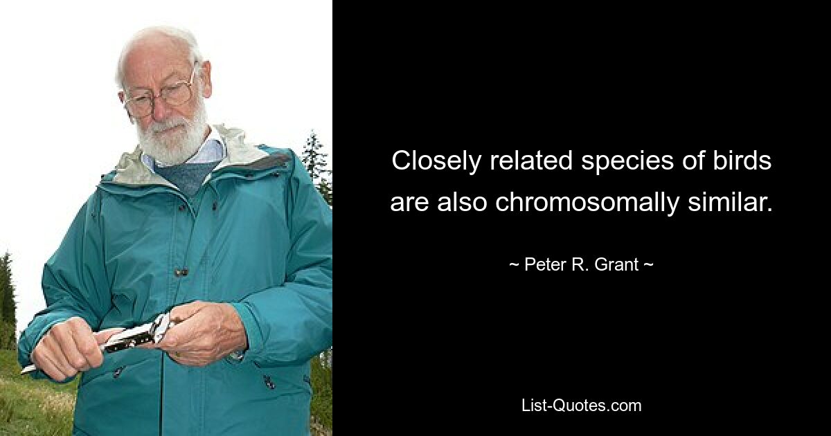 Closely related species of birds are also chromosomally similar. — © Peter R. Grant