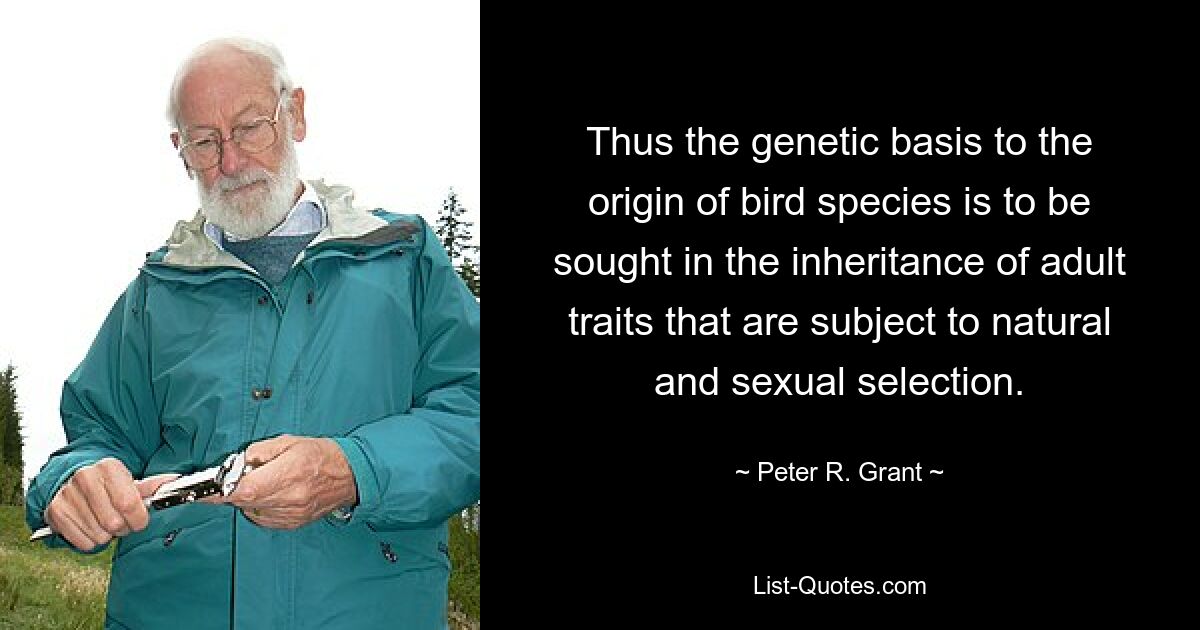 Daher ist die genetische Grundlage für die Entstehung von Vogelarten in der Vererbung erwachsener Merkmale zu suchen, die der natürlichen und sexuellen Selektion unterliegen. — © Peter R. Grant 