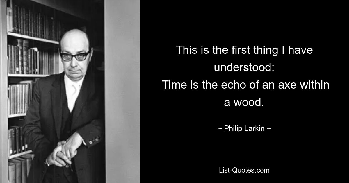 This is the first thing I have understood:
 Time is the echo of an axe within a wood. — © Philip Larkin