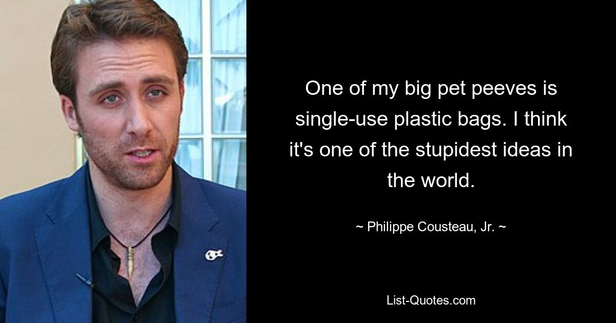 One of my big pet peeves is single-use plastic bags. I think it's one of the stupidest ideas in the world. — © Philippe Cousteau, Jr.