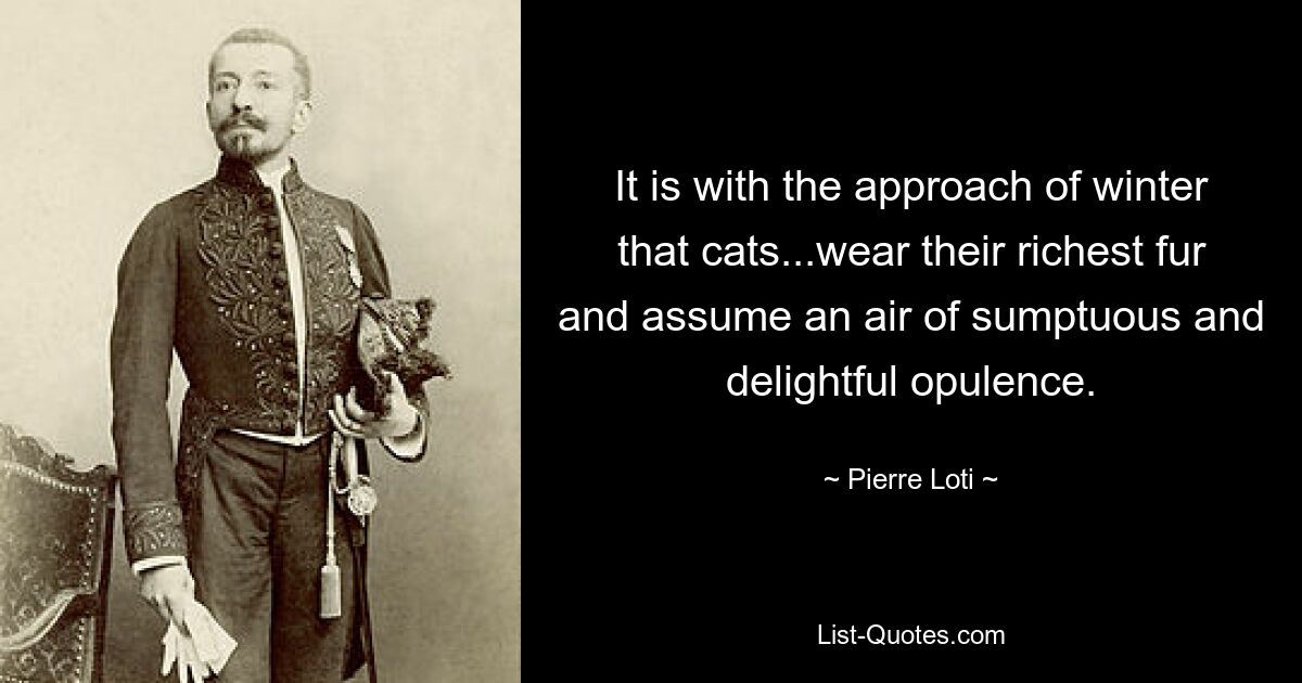 It is with the approach of winter that cats...wear their richest fur and assume an air of sumptuous and delightful opulence. — © Pierre Loti