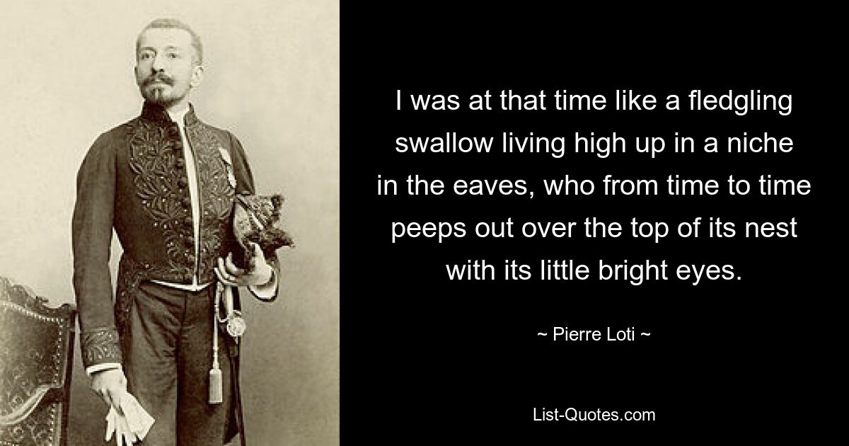 I was at that time like a fledgling swallow living high up in a niche in the eaves, who from time to time peeps out over the top of its nest with its little bright eyes. — © Pierre Loti