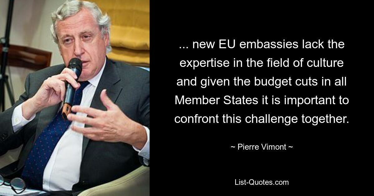 ... new EU embassies lack the expertise in the field of culture and given the budget cuts in all Member States it is important to confront this challenge together. — © Pierre Vimont