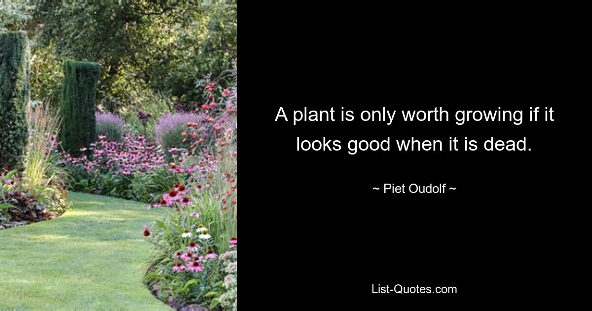 A plant is only worth growing if it looks good when it is dead. — © Piet Oudolf