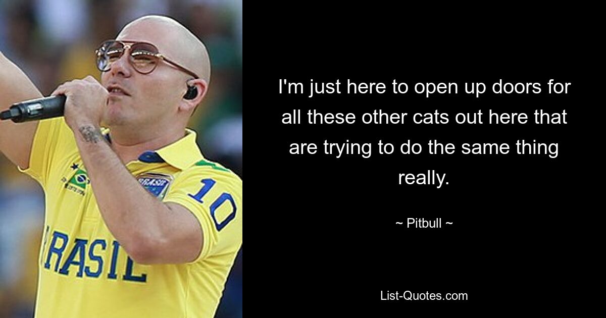 I'm just here to open up doors for all these other cats out here that are trying to do the same thing really. — © Pitbull