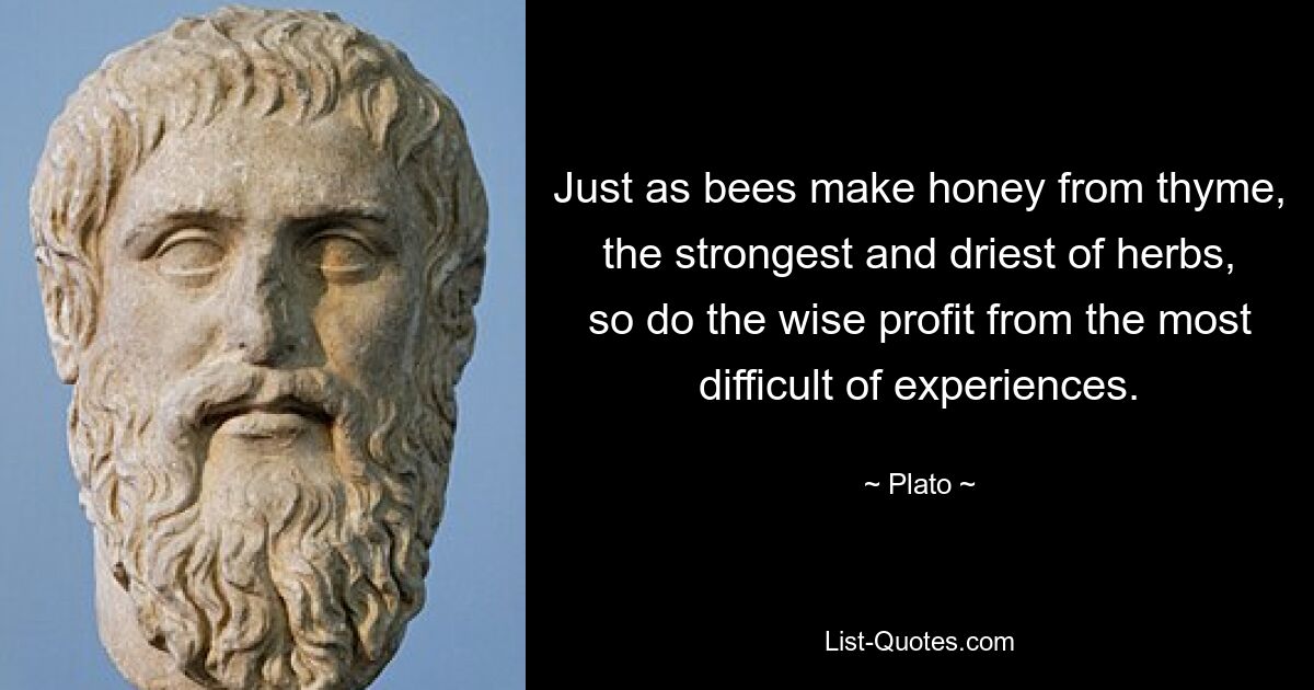 Just as bees make honey from thyme, the strongest and driest of herbs, so do the wise profit from the most difficult of experiences. — © Plato