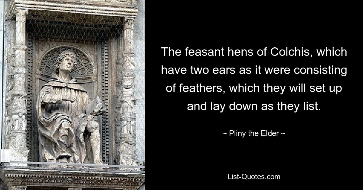 The feasant hens of Colchis, which have two ears as it were consisting of feathers, which they will set up and lay down as they list. — © Pliny the Elder