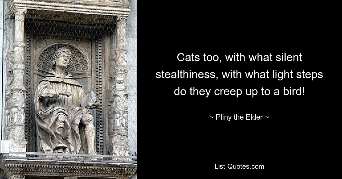 Cats too, with what silent stealthiness, with what light steps do they creep up to a bird! — © Pliny the Elder