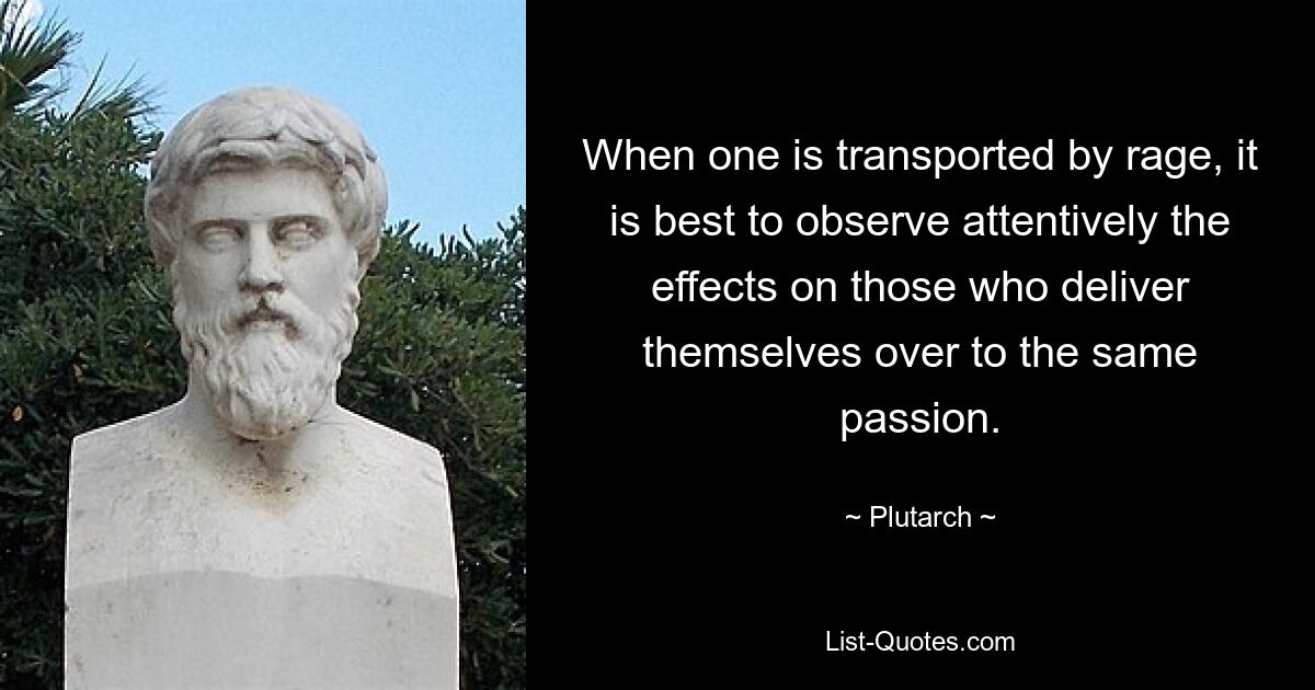 When one is transported by rage, it is best to observe attentively the effects on those who deliver themselves over to the same passion. — © Plutarch