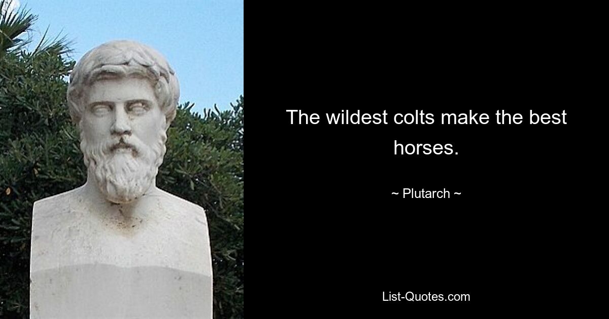 The wildest colts make the best horses. — © Plutarch