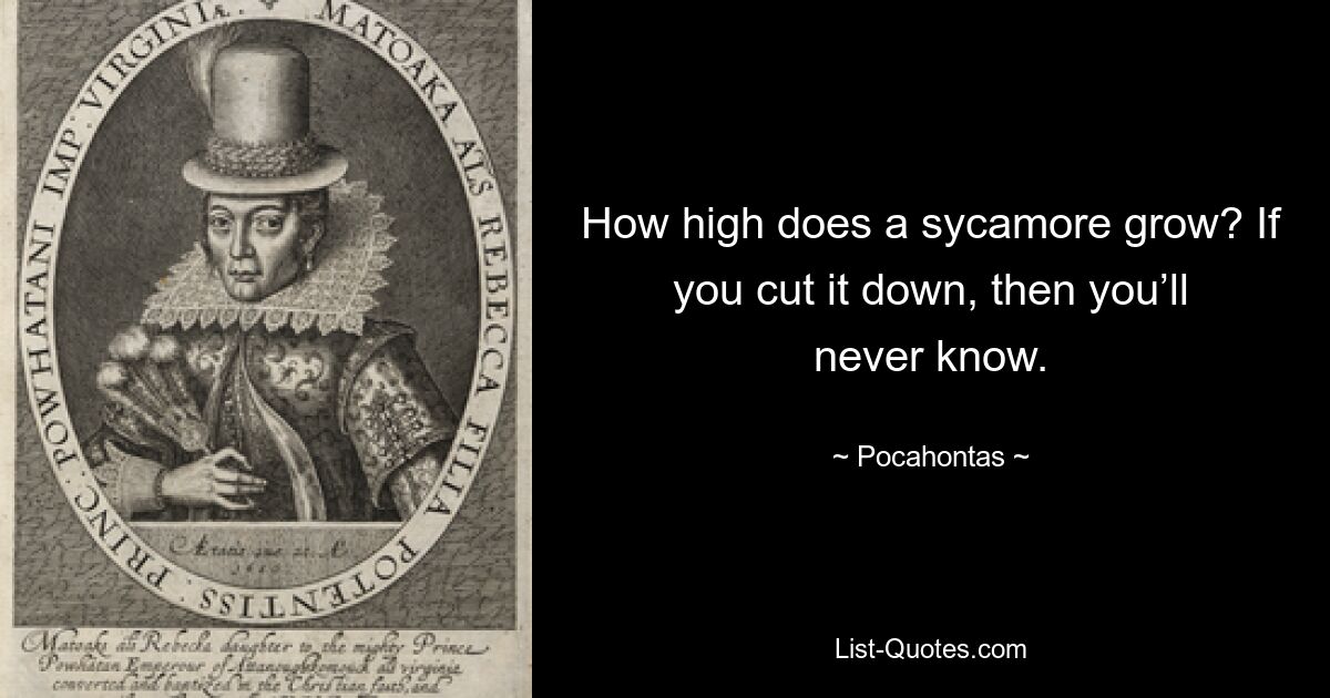 How high does a sycamore grow? If you cut it down, then you’ll never know. — © Pocahontas